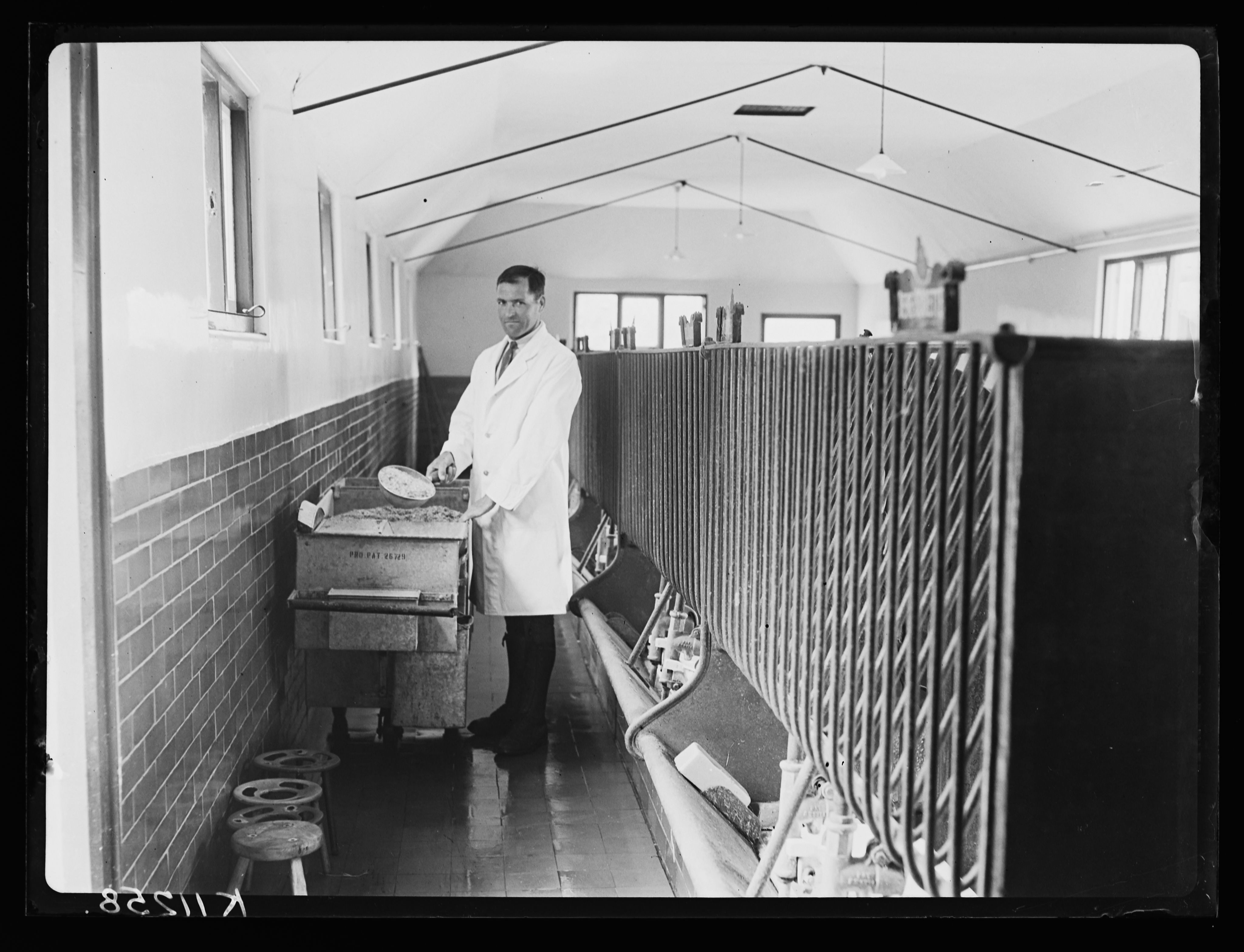 Black and white image of a farm worker preparing feed