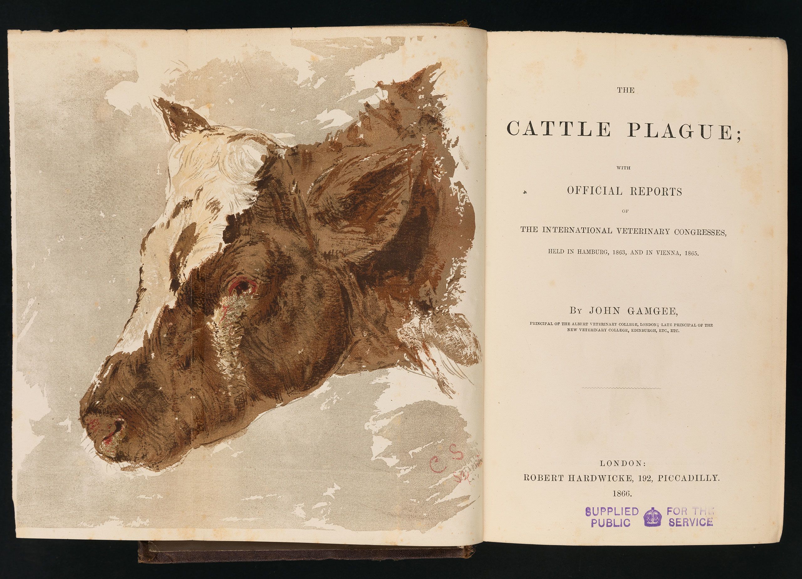 Scanned image of pages from the book The Cattle Plague by John Gamgee, 1866