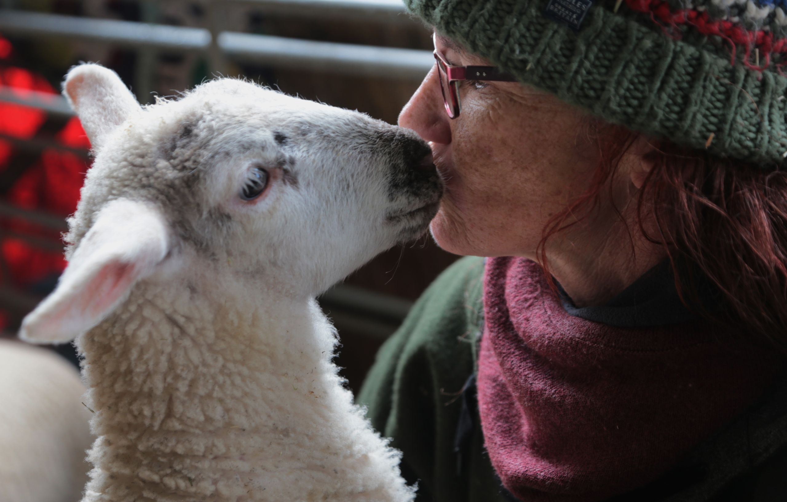 Photograph of Zowie holding a lamb