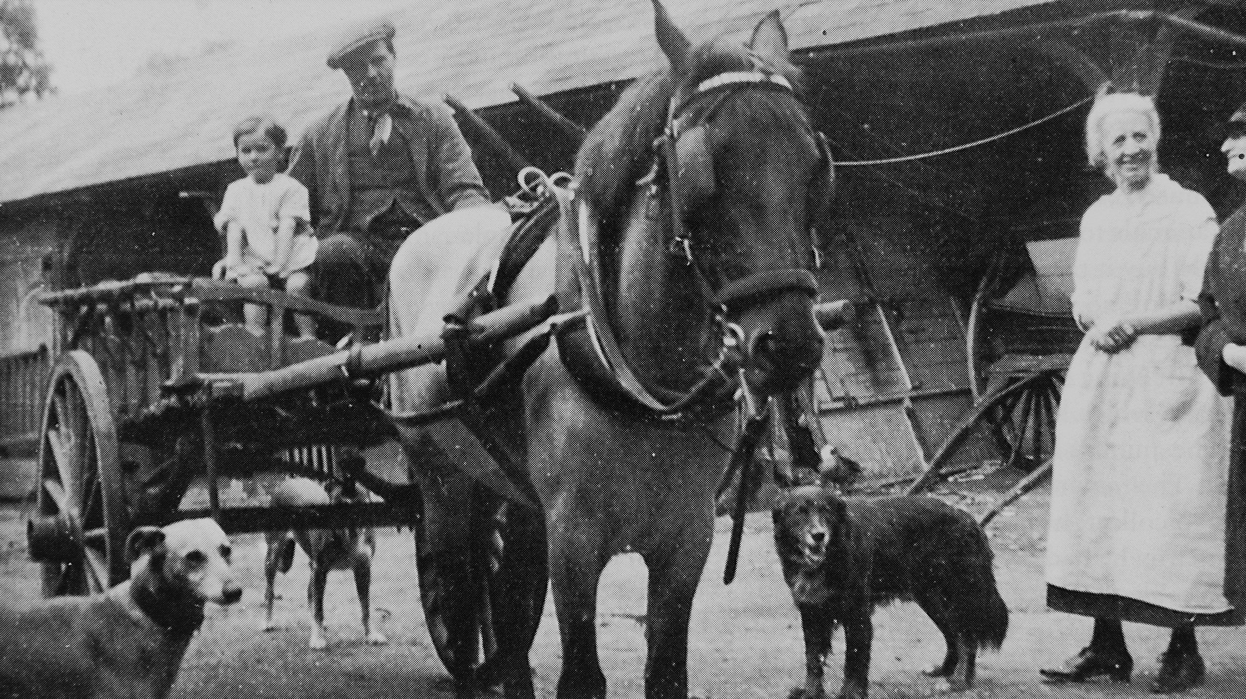 Black and white photograph showing Harry Wing sitting atop a horse and cart in a farmyard
