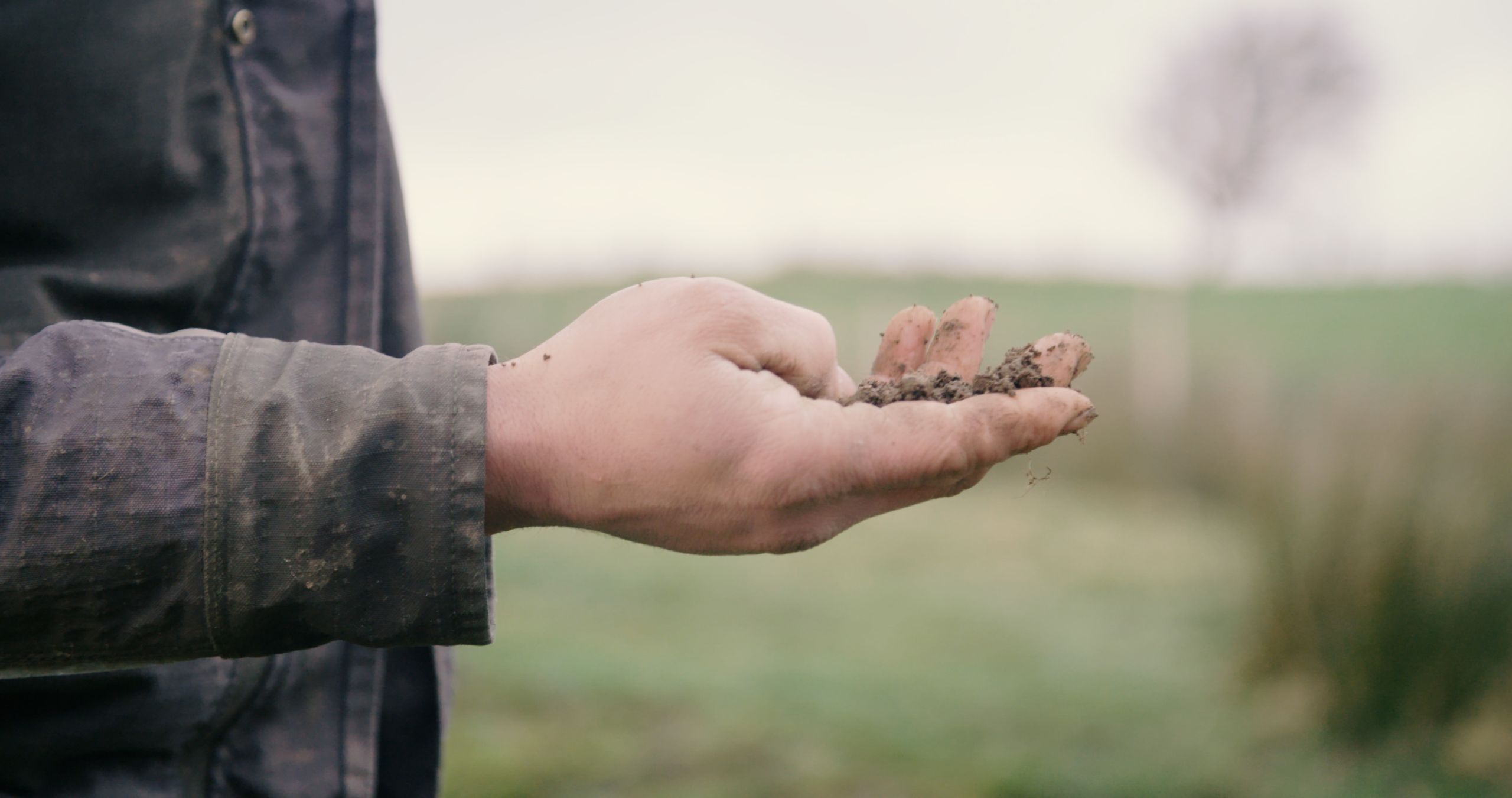 A photograph of Geraint's hands holding earth